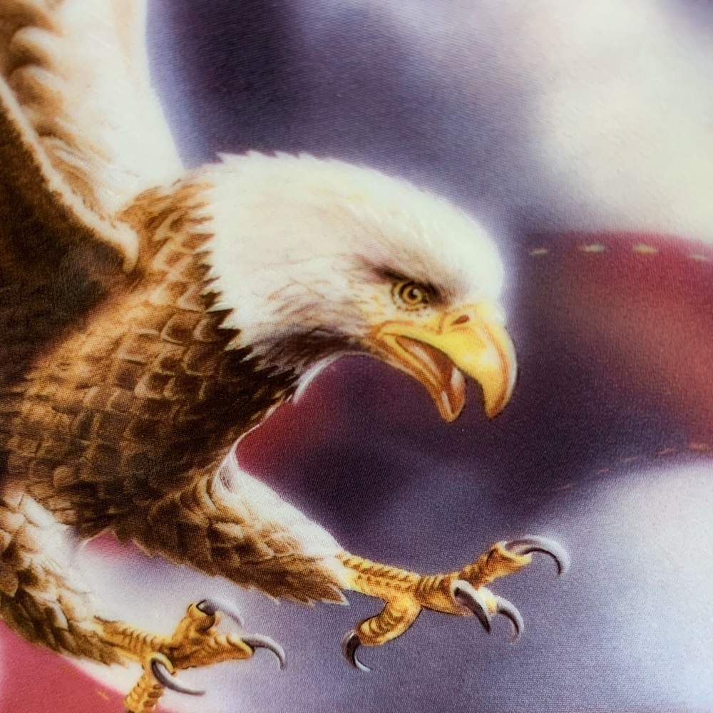 “The American Eagle Plate” Ronald Van Ruycyvelt